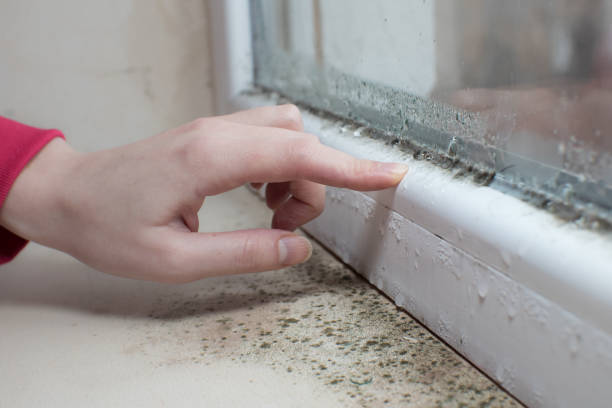Oakhurst, CA Mold Removal Company